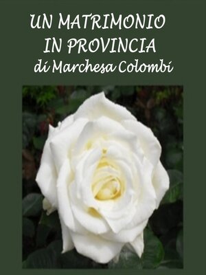 cover image of Un matrimonio in provincia